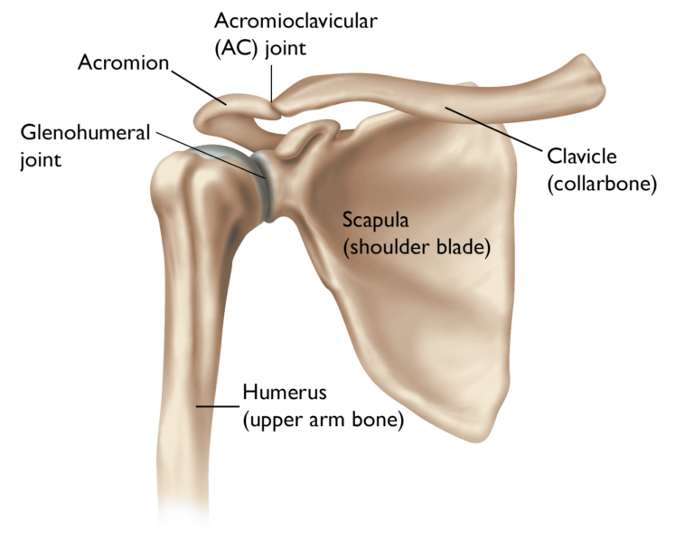 Shoulder Arthritis