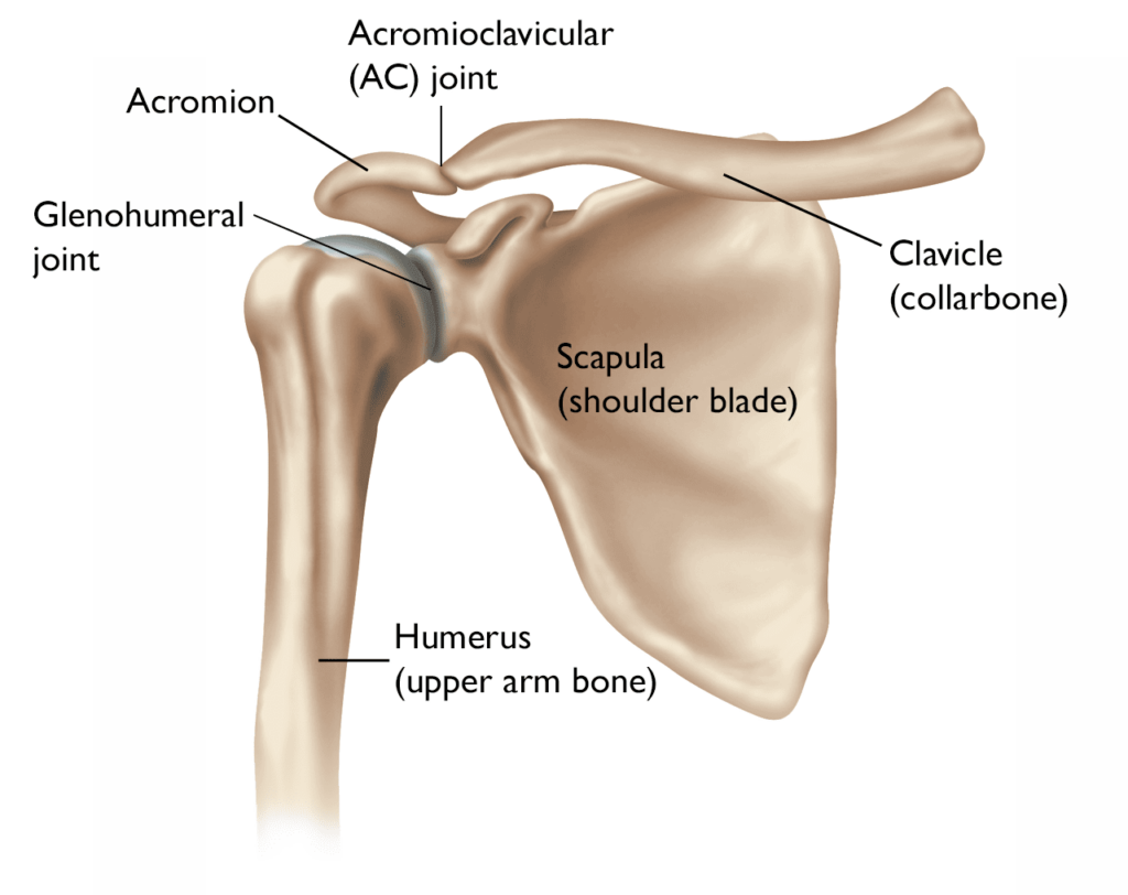 What Is Shoulder Arthritis